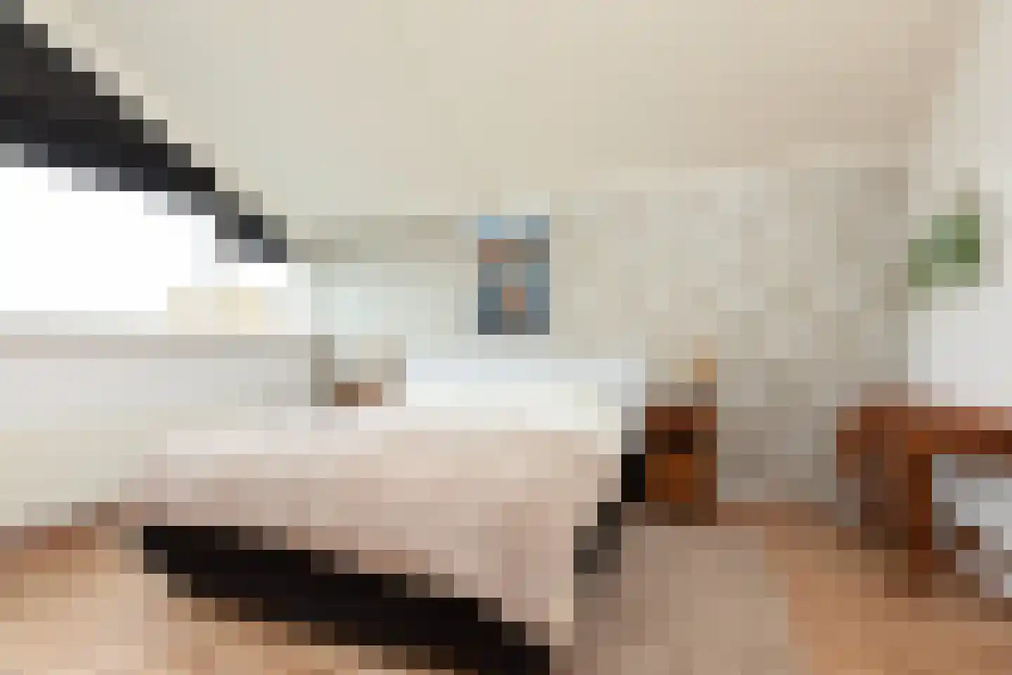 Houkeslootstraat 18 Sneek thumbnail 40