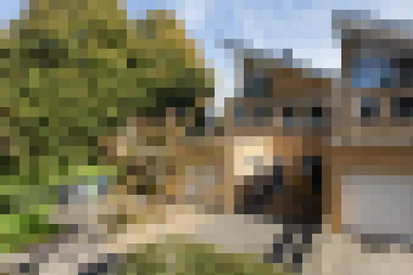 Houkeslootstraat 18 Sneek thumbnail 52