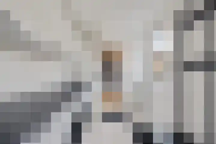 Houkeslootstraat 19 Sneek thumbnail 13