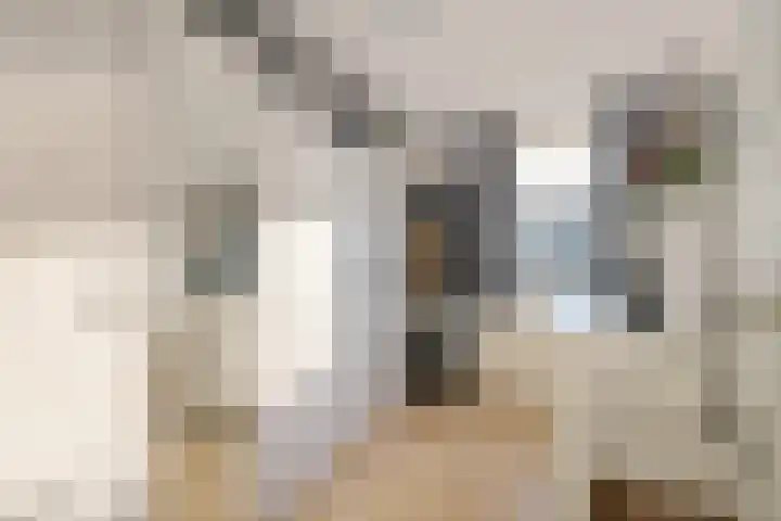 Houkeslootstraat 19 Sneek thumbnail 17