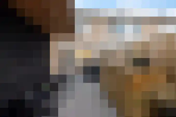 Houkeslootstraat 19 Sneek thumbnail 32