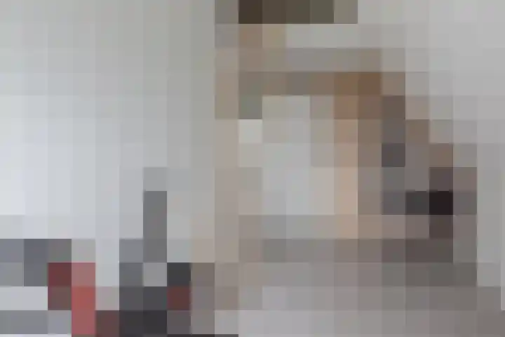 Houkeweg 18 Sneek thumbnail 35