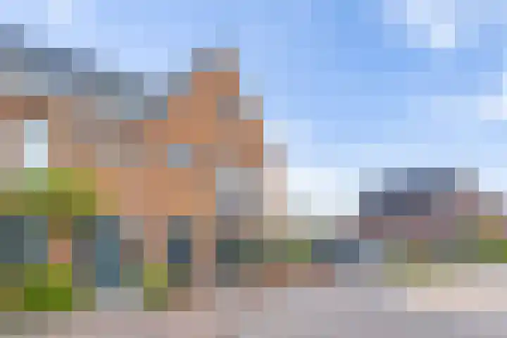 Houkeweg 18 Sneek thumbnail 4