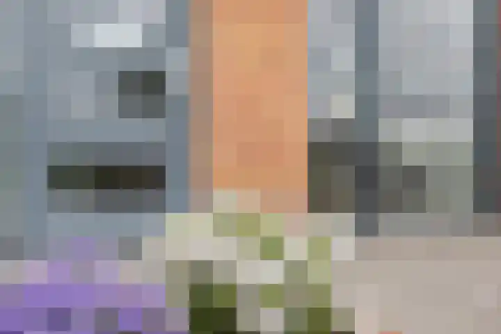 Houkeweg 18 Sneek thumbnail 5
