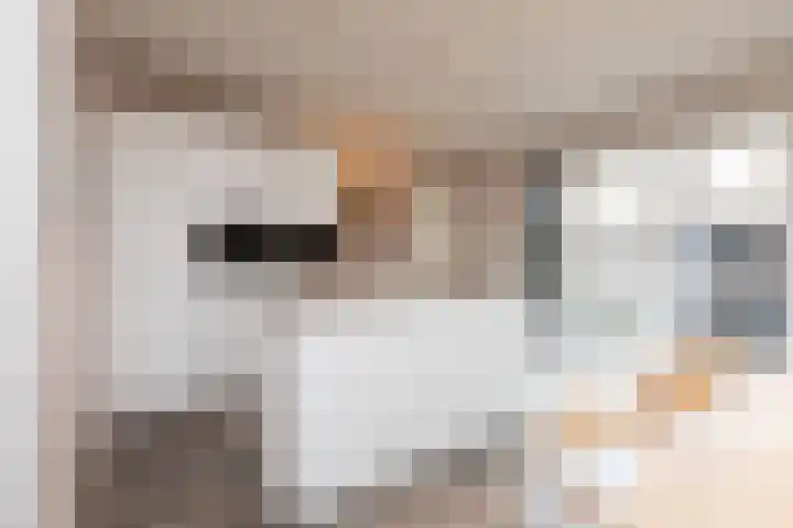 Houkeweg 20 Sneek thumbnail 10