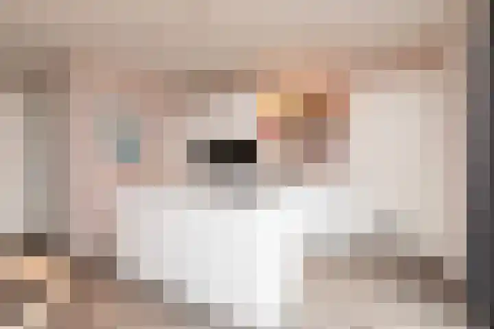 Houkeweg 20 Sneek thumbnail 14