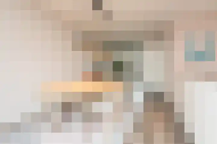 Houkeweg 20 Sneek thumbnail 15