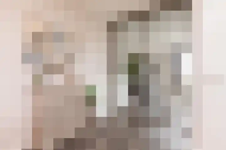 Houkeweg 20 Sneek thumbnail 16