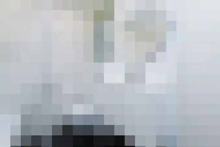 Houkeweg 20 Sneek thumbnail 25