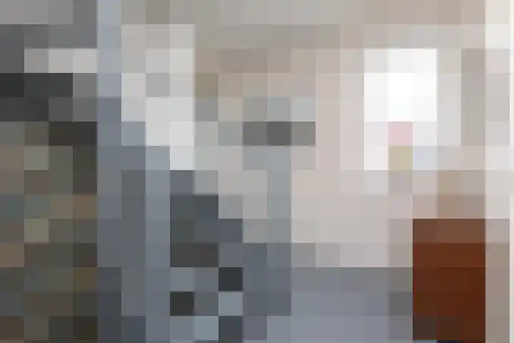 Houkeweg 20 Sneek thumbnail 31