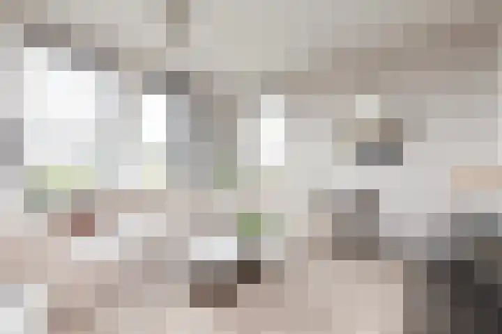 Houkeweg 20 Sneek thumbnail 4