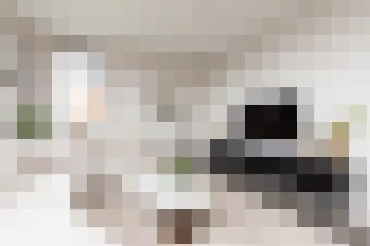 Houkeweg 20 Sneek thumbnail 5
