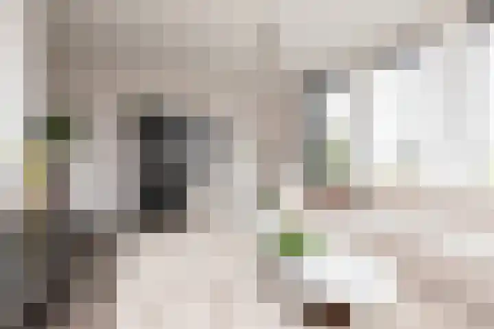 Houkeweg 20 Sneek thumbnail 6