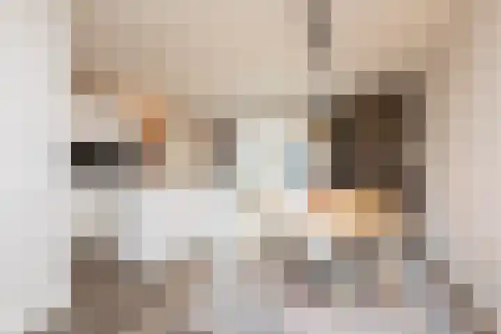 Houkeweg 20 Sneek thumbnail 9