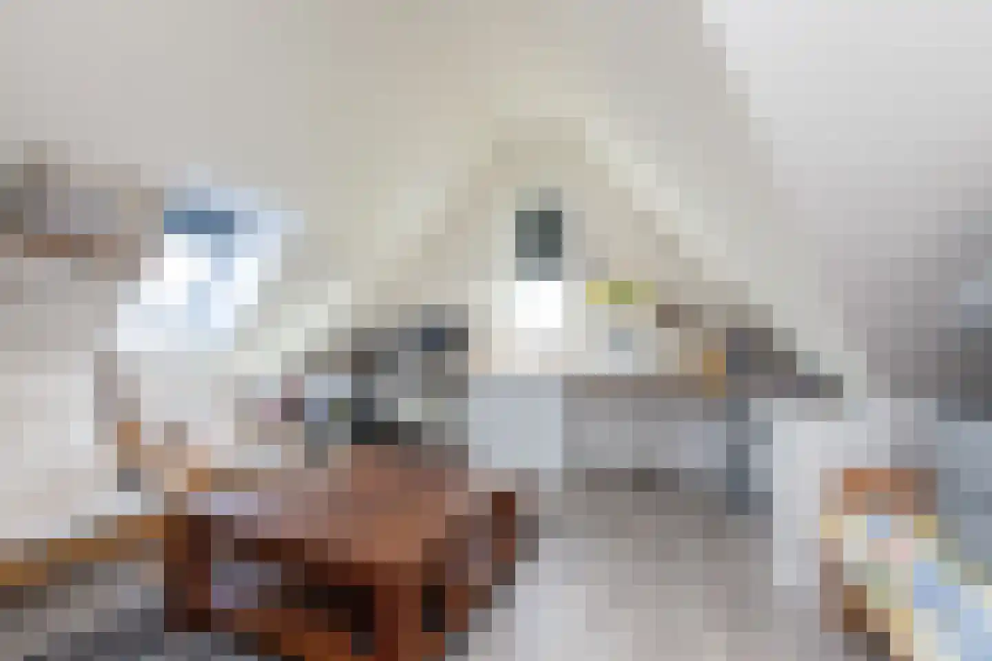 Houkeweg 30 Sneek thumbnail 29