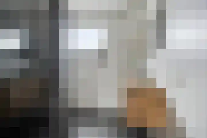 Houkeweg 60 Sneek thumbnail 16