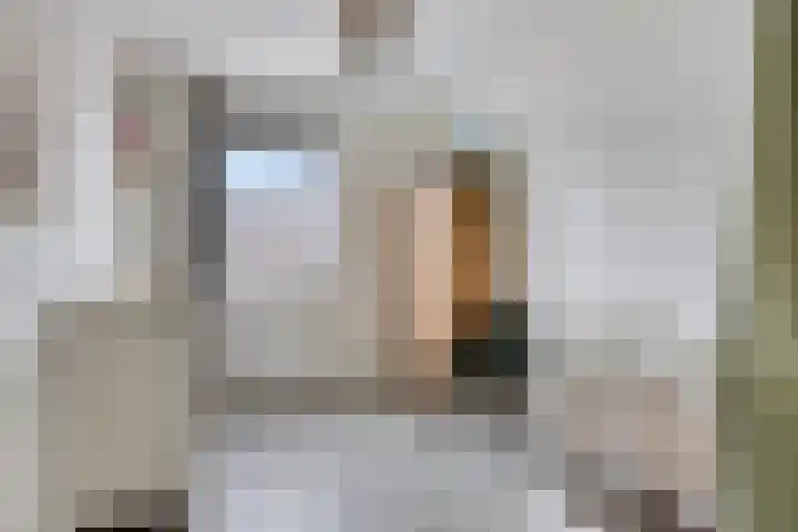 Houkeweg 60 Sneek thumbnail 19