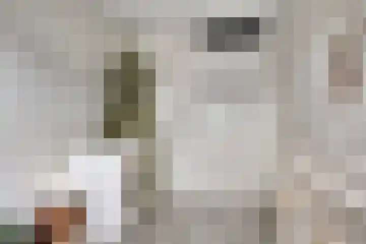 Houkeweg 60 Sneek thumbnail 20