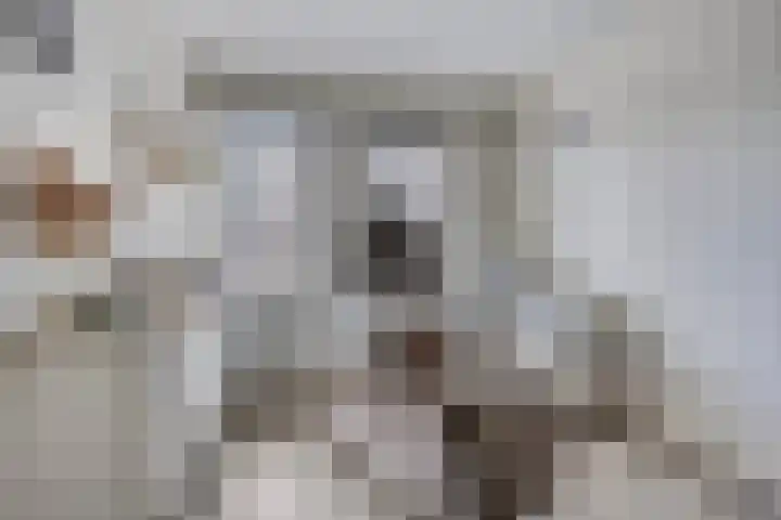 Houkeweg 60 Sneek thumbnail 21