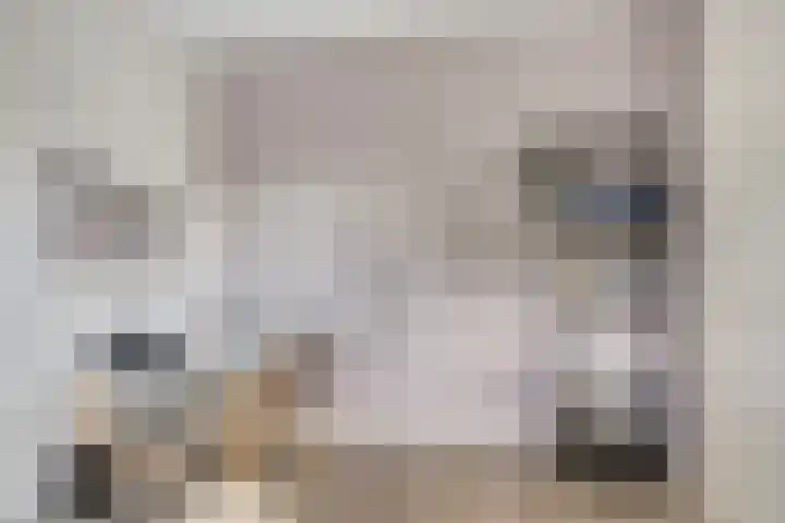 Houkeweg 60 Sneek thumbnail 22