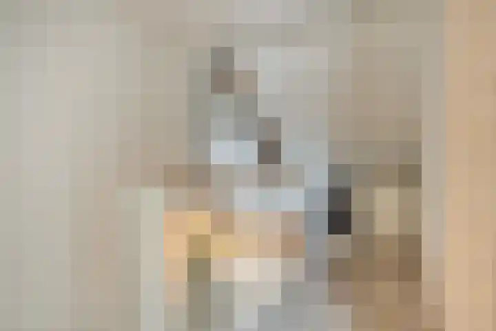 Houkeweg 60 Sneek thumbnail 23