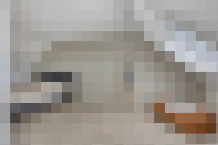 Houkeweg 60 Sneek thumbnail 25