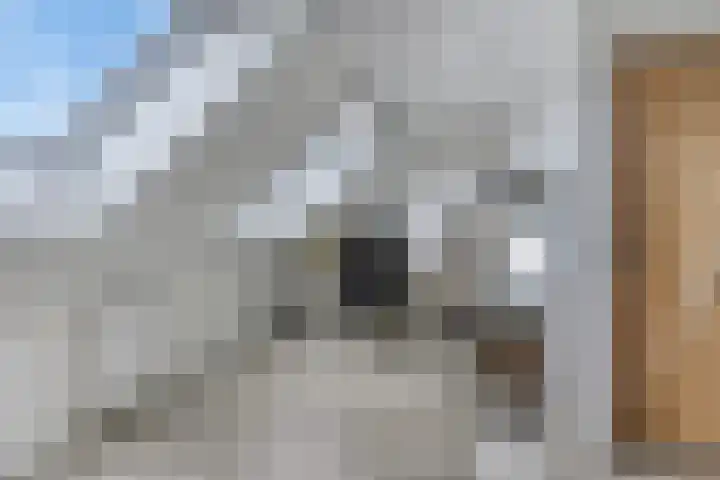 Houkeweg 60 Sneek thumbnail 27