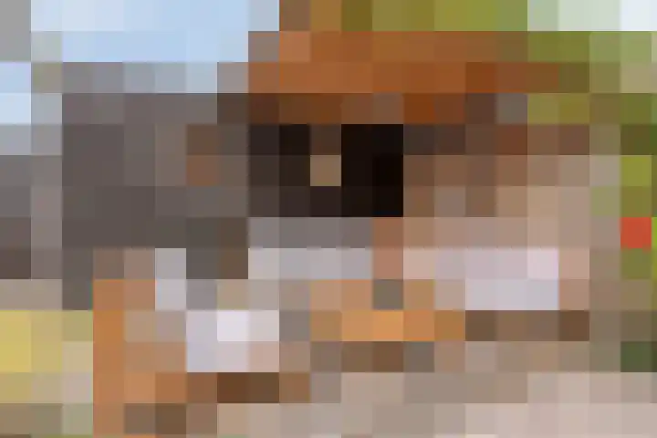 Houkeweg 60 Sneek thumbnail 30