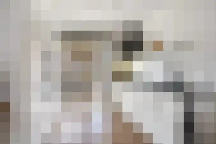 Houkeweg 60 Sneek thumbnail 6