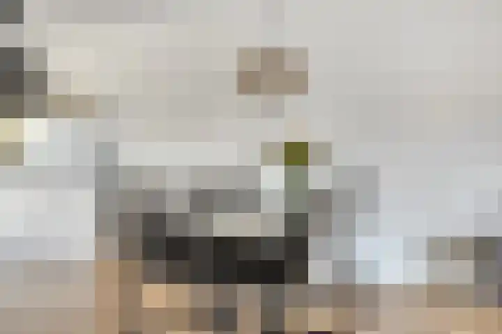 Houkeweg 60 Sneek thumbnail 8