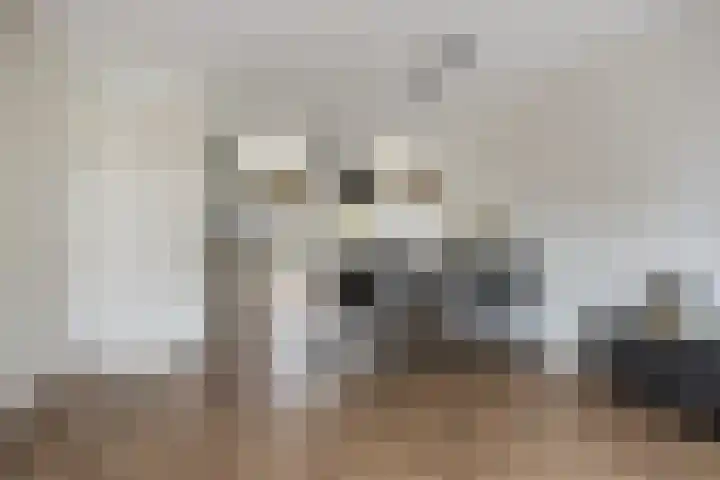 Houkeweg 60 Sneek thumbnail 9