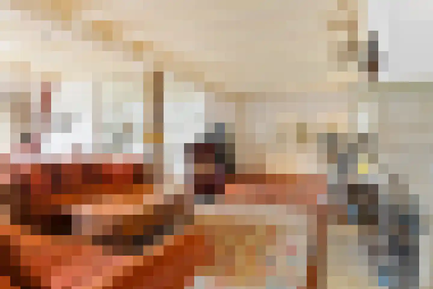 Hounsdyk 6 Goutum thumbnail 14