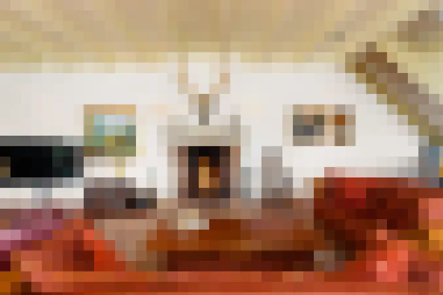 Hounsdyk 6 Goutum thumbnail 15