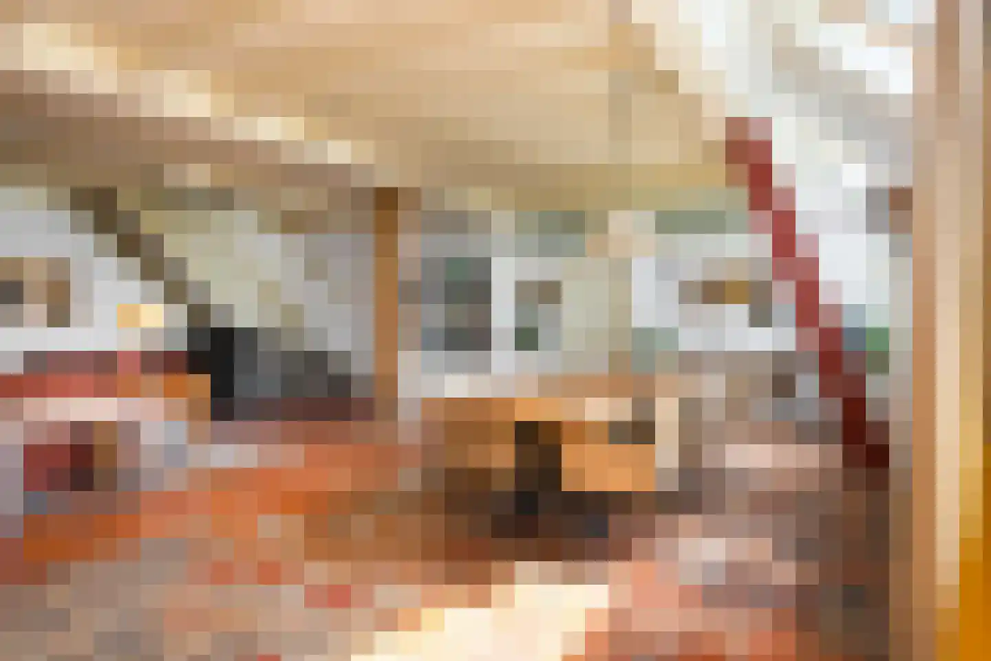 Hounsdyk 6 Goutum thumbnail 16