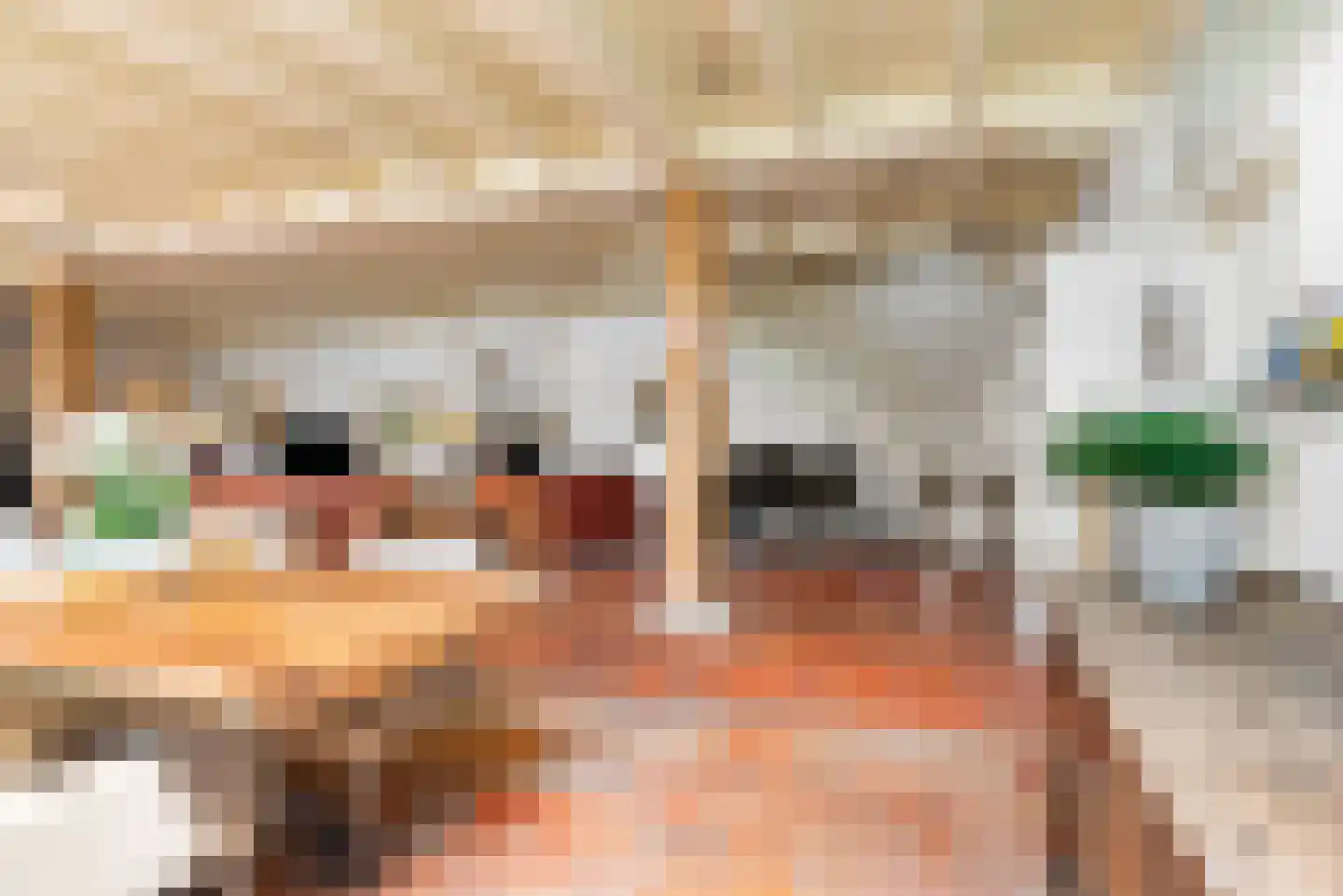 Hounsdyk 6 Goutum thumbnail 17