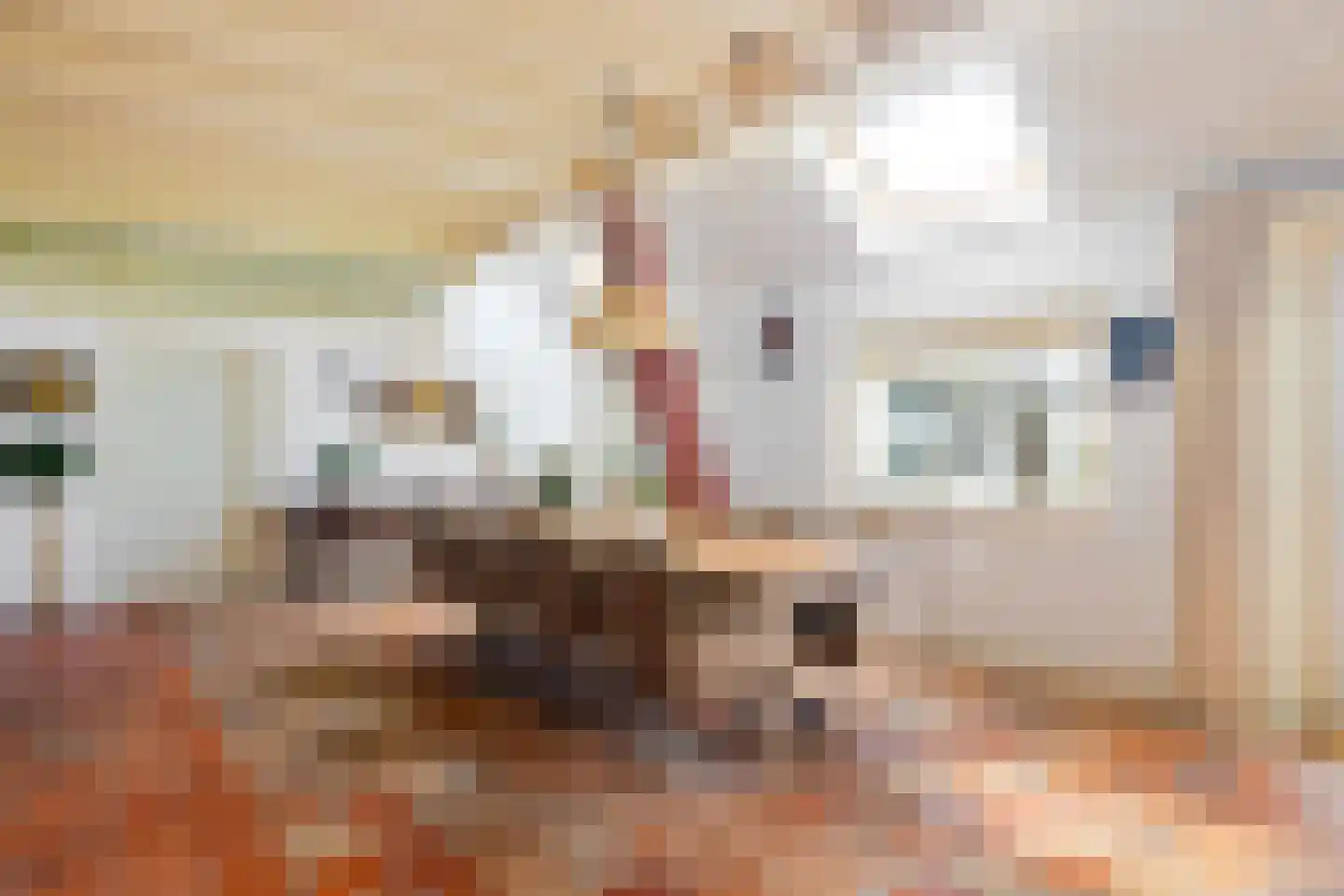 Hounsdyk 6 Goutum thumbnail 23