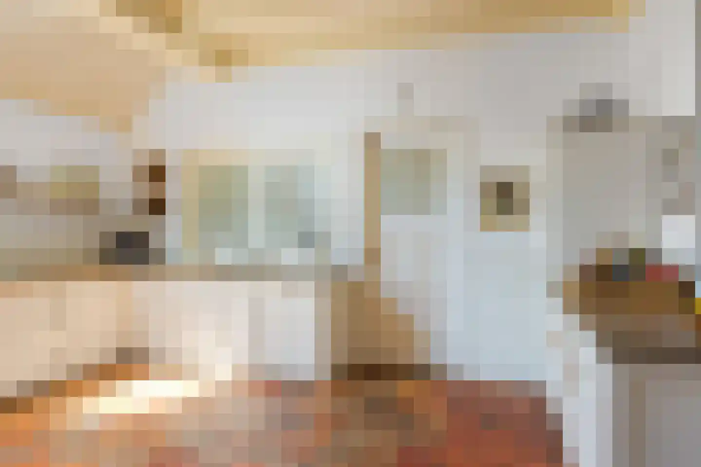 Hounsdyk 6 Goutum thumbnail 25