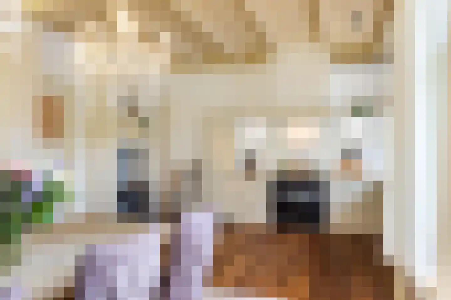 Hounsdyk 6 Goutum thumbnail 29