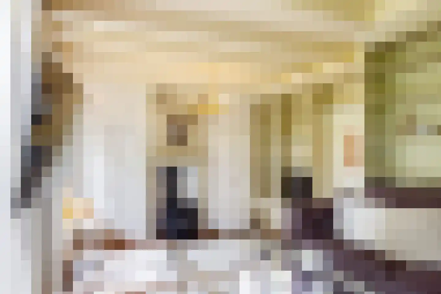 Hounsdyk 6 Goutum thumbnail 34