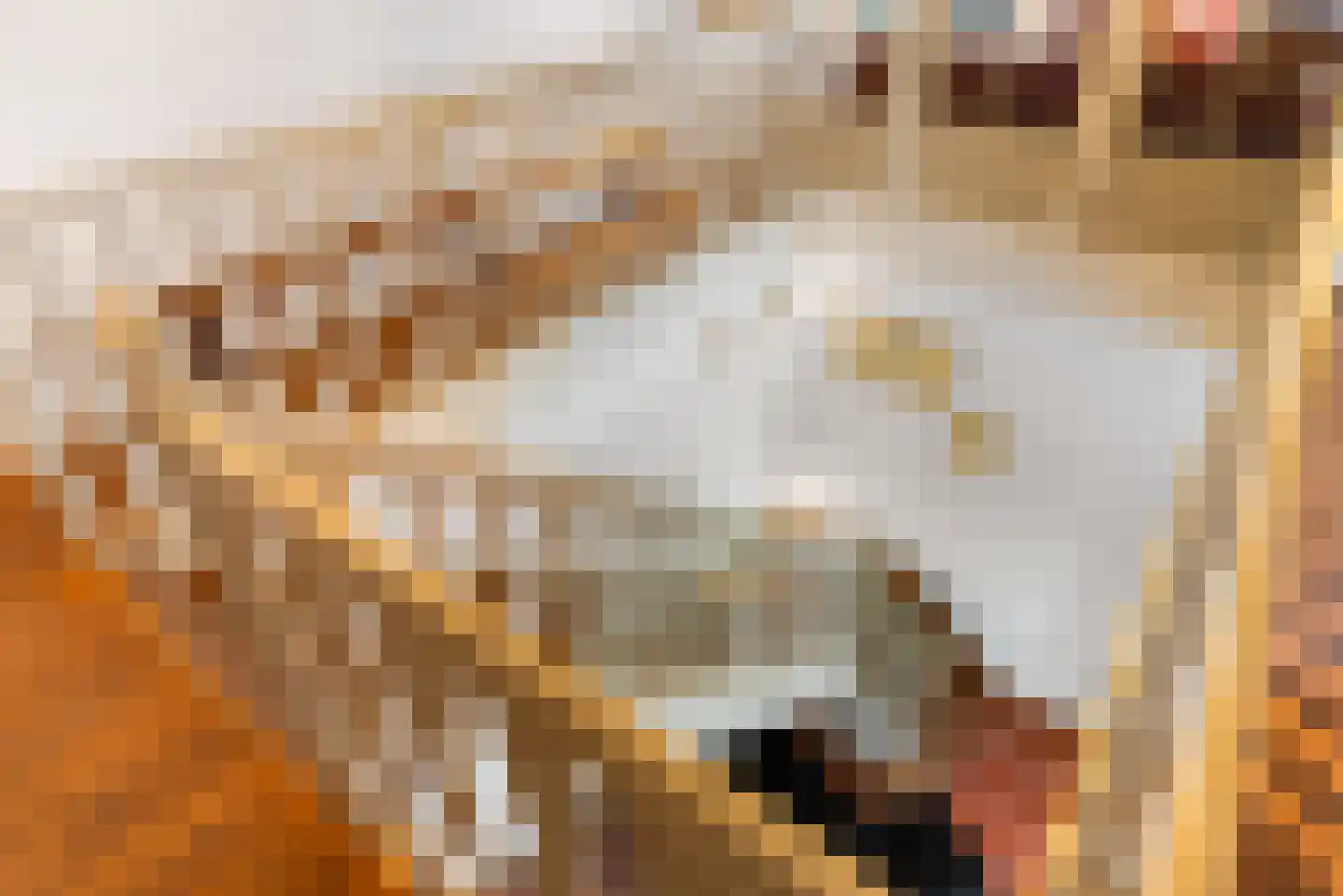 Hounsdyk 6 Goutum thumbnail 45