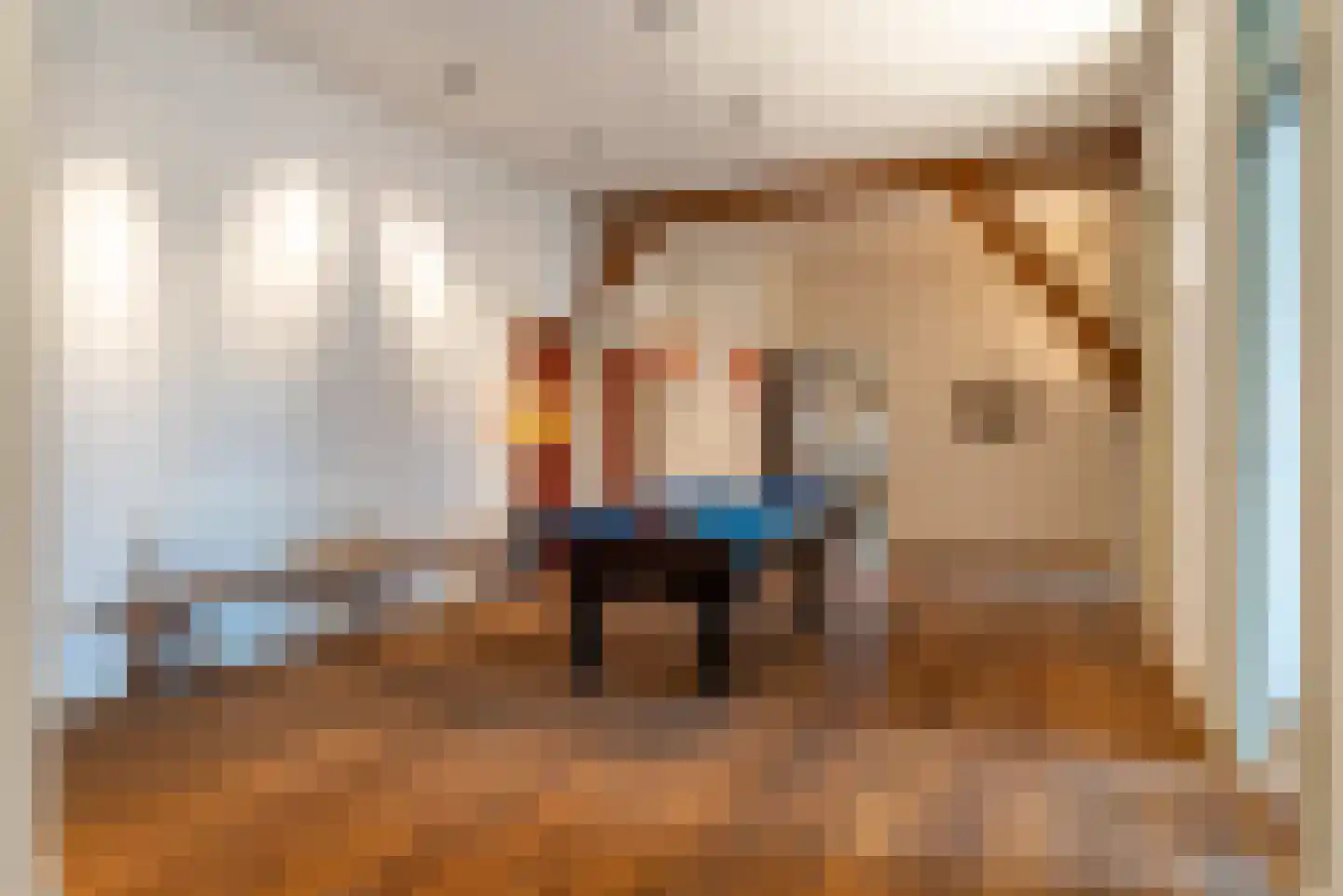Hounsdyk 6 Goutum thumbnail 46