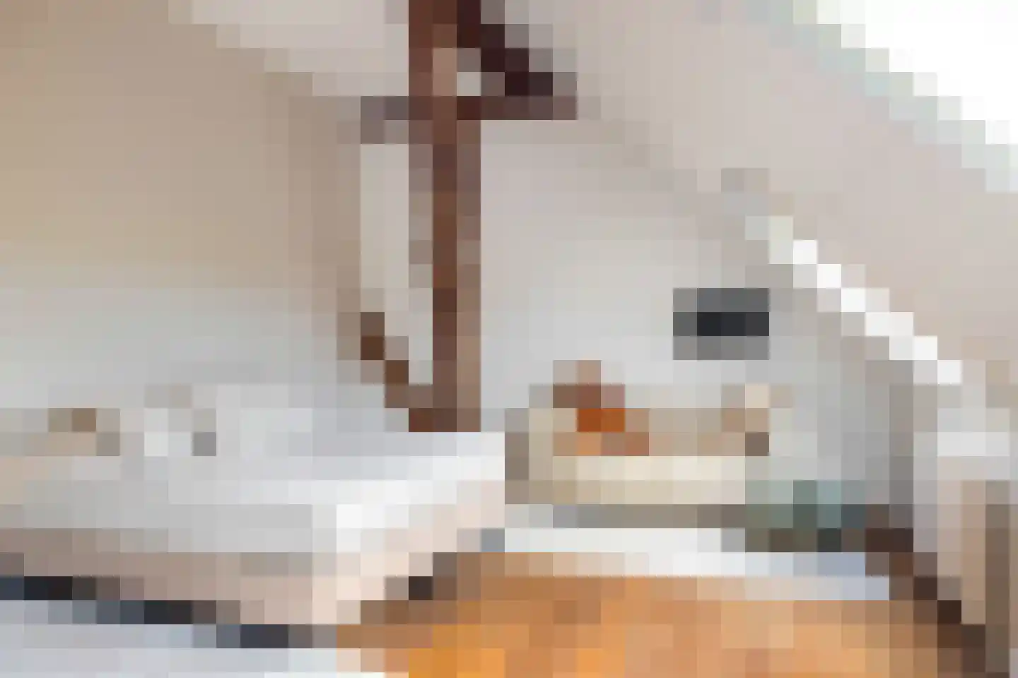 Hounsdyk 6 Goutum thumbnail 56