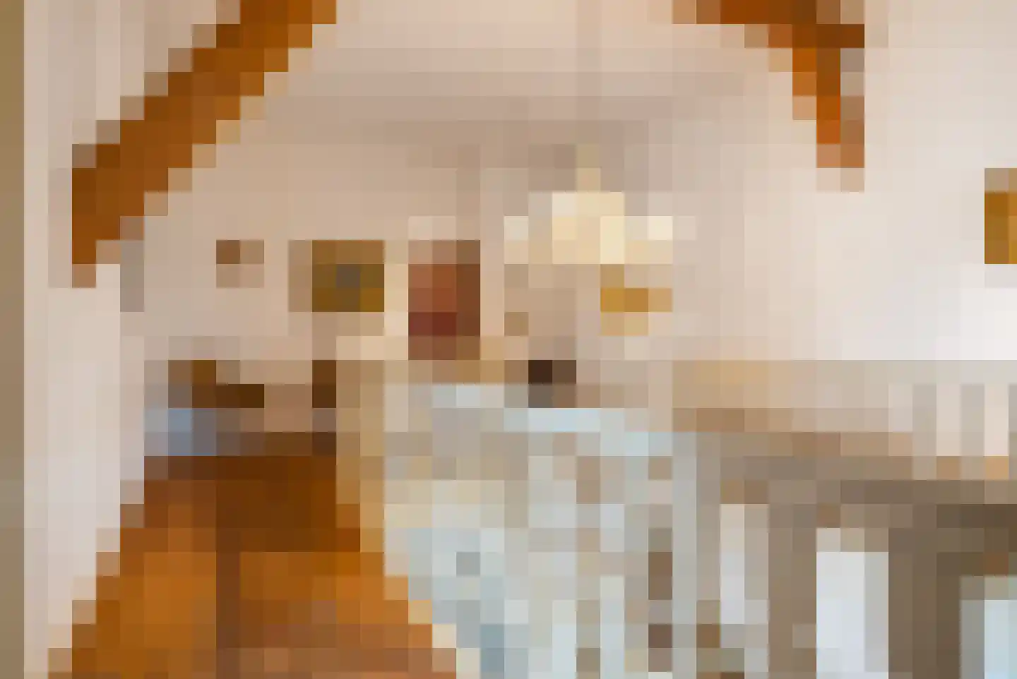 Hounsdyk 6 Goutum thumbnail 63