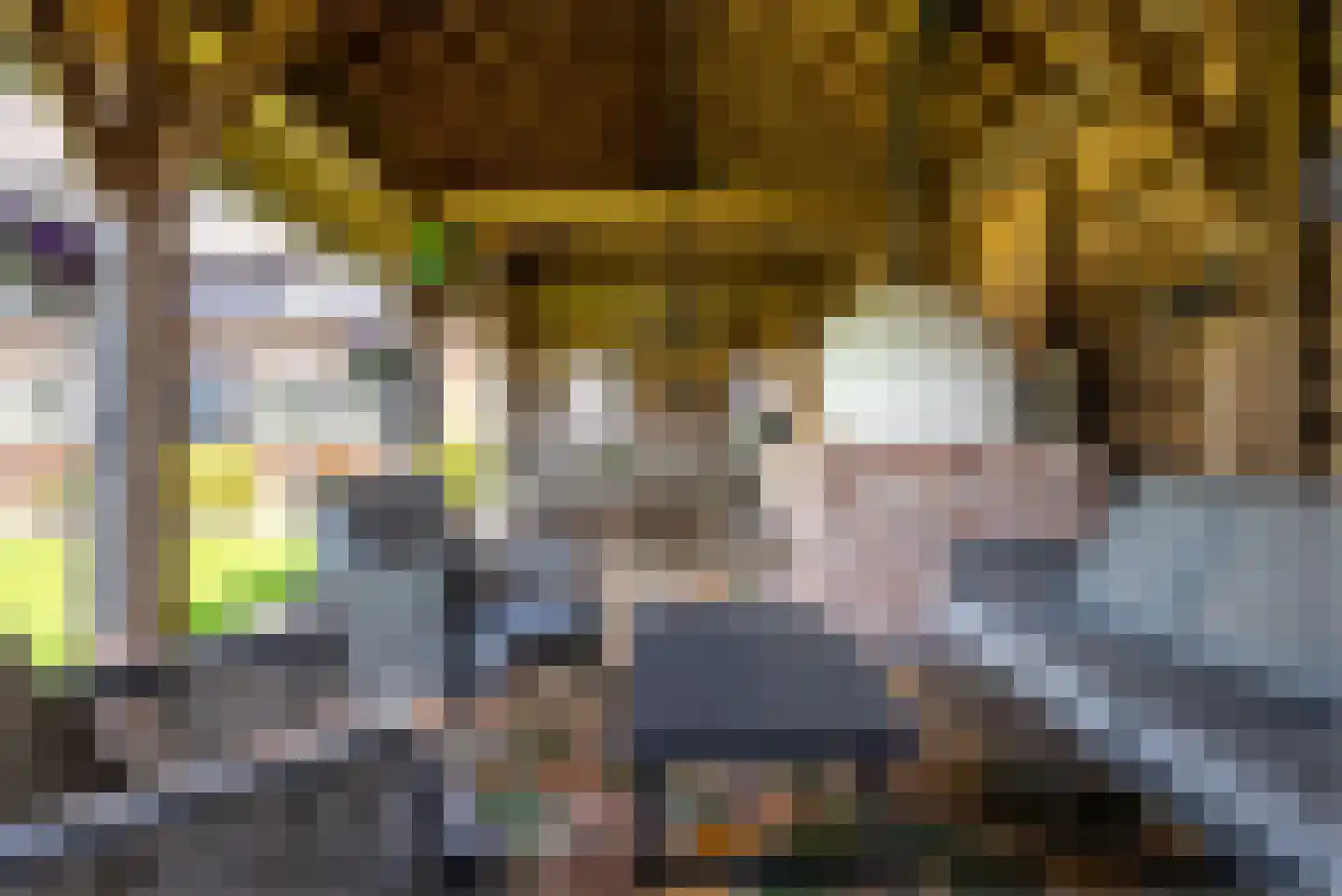 Hounsdyk 6 Goutum thumbnail 70