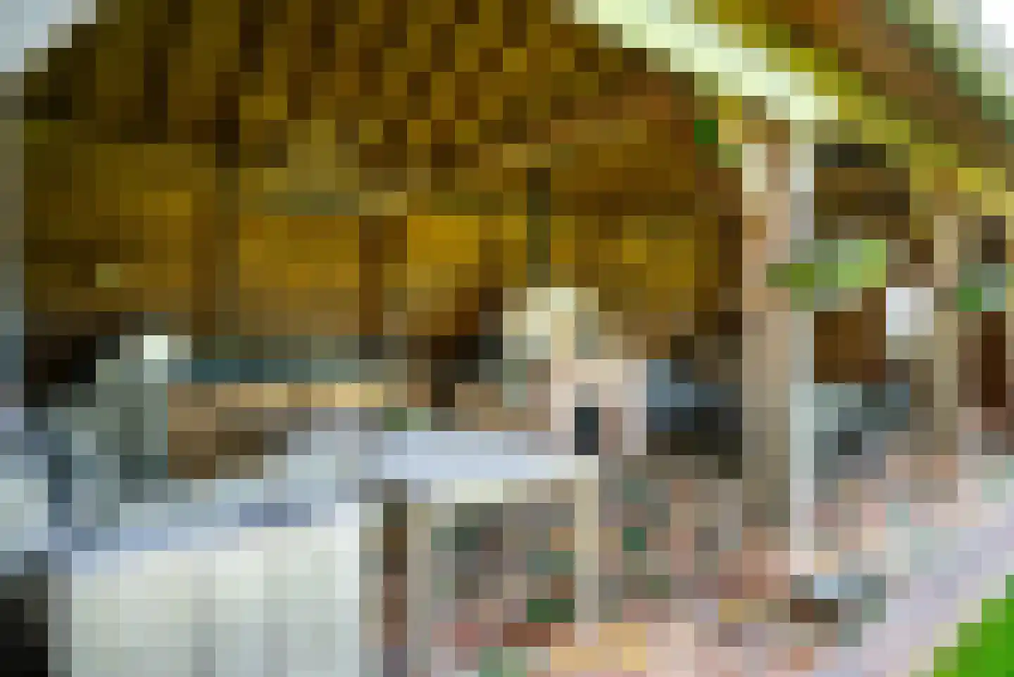 Hounsdyk 6 Goutum thumbnail 72