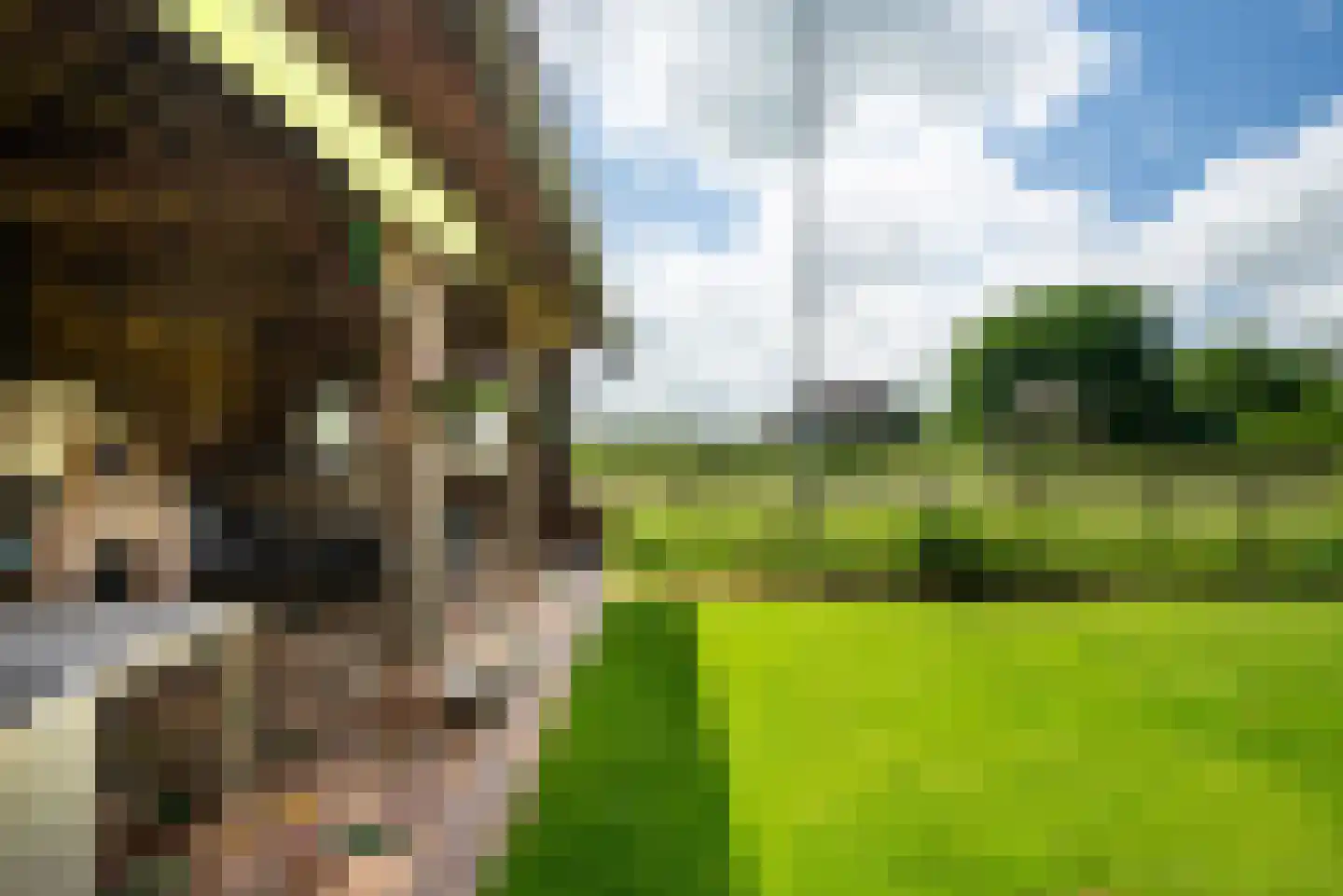Hounsdyk 6 Goutum thumbnail 74