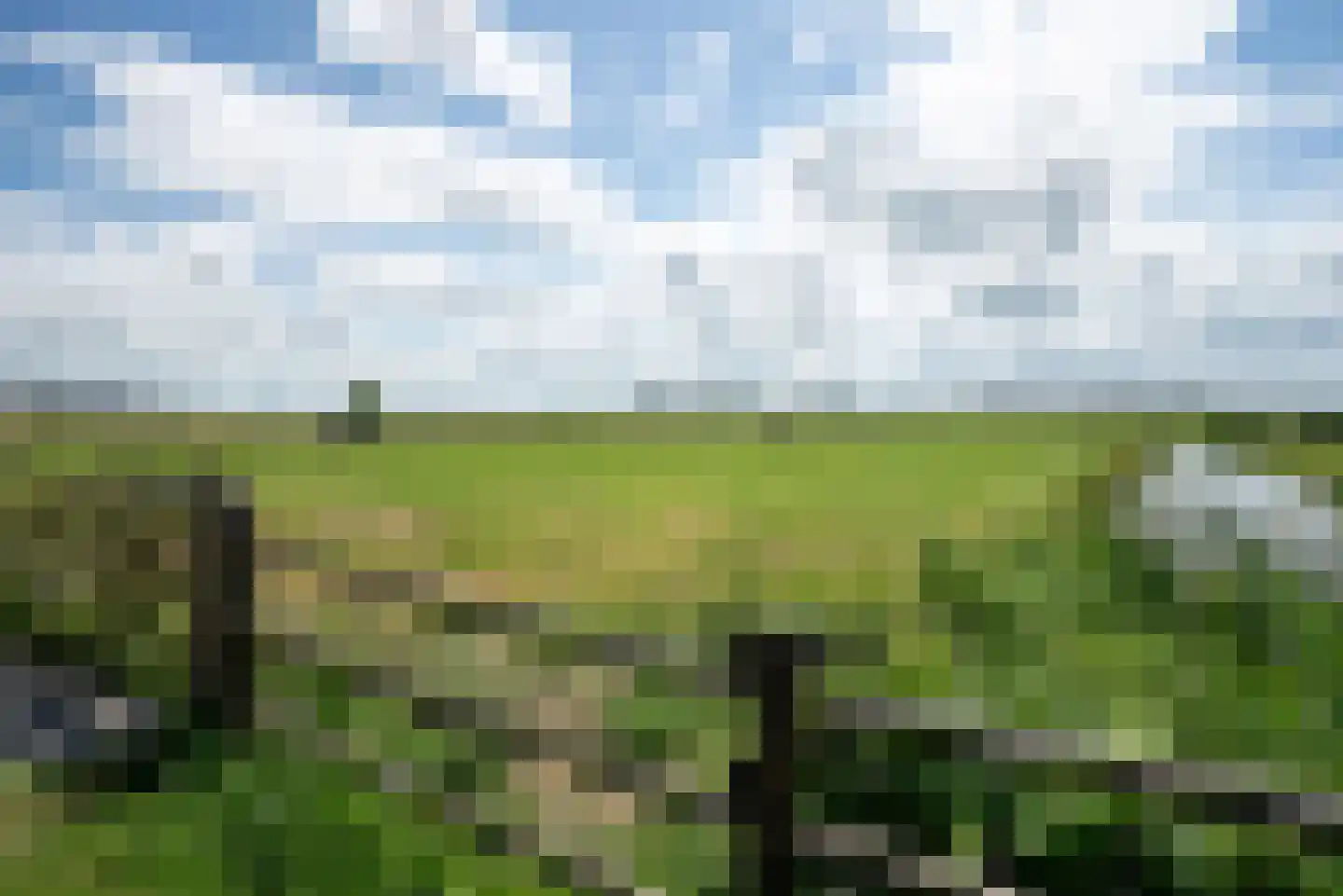 Hounsdyk 6 Goutum thumbnail 86