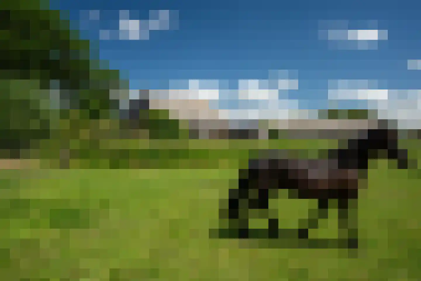 Hounsdyk 6 Goutum thumbnail 89
