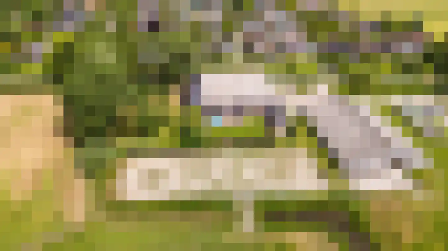 Hounsdyk 6 Goutum thumbnail 93
