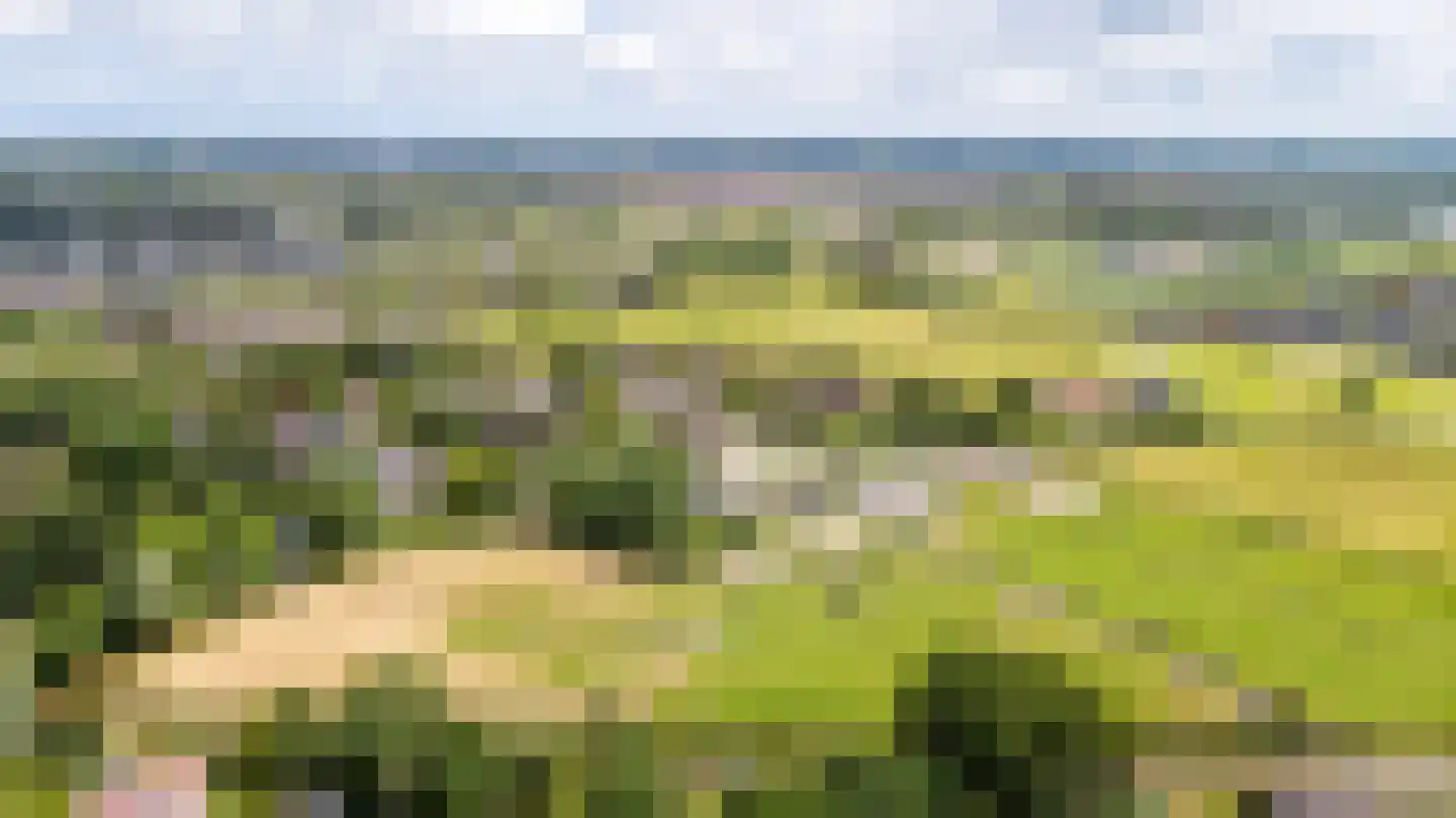 Hounsdyk 6 Goutum thumbnail 97